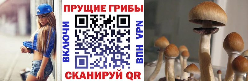 mega рабочий сайт  сколько стоит  Керчь  Псилоцибиновые грибы ЛСД 