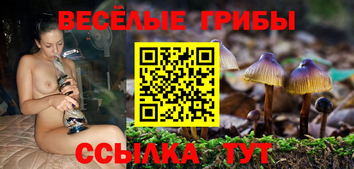 Керчь  Галлюциногенные грибы ЛСД  Вход с VPN 