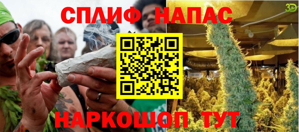 Бошки Шишки MAZAR Керчь